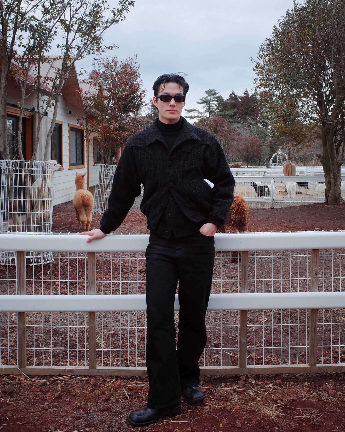 CLAMOA influencer campaign content — insumoon_1781519311616
